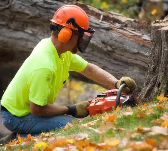 tree services Cascade